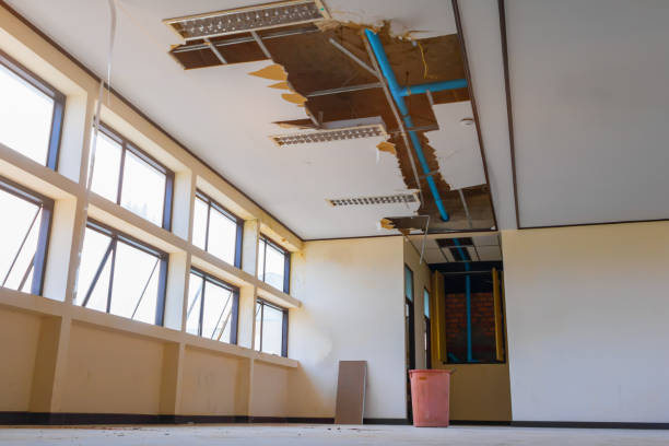 Best Water damage cleanup near me  in Parkwood, WA
