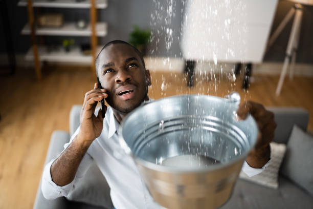 Best Residential water damage restoration  in Parkwood, WA