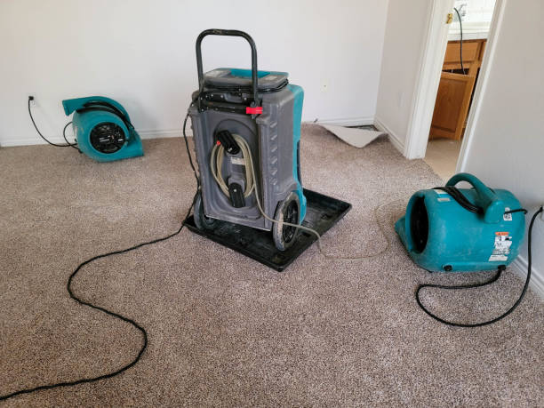 Best Water damage cleanup near me  in Parkwood, WA