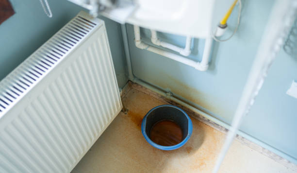 Best Flood damage cleanup  in Parkwood, WA