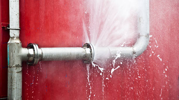 Best Flood damage cleanup  in Parkwood, WA